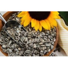 Sweet sunflower seeds